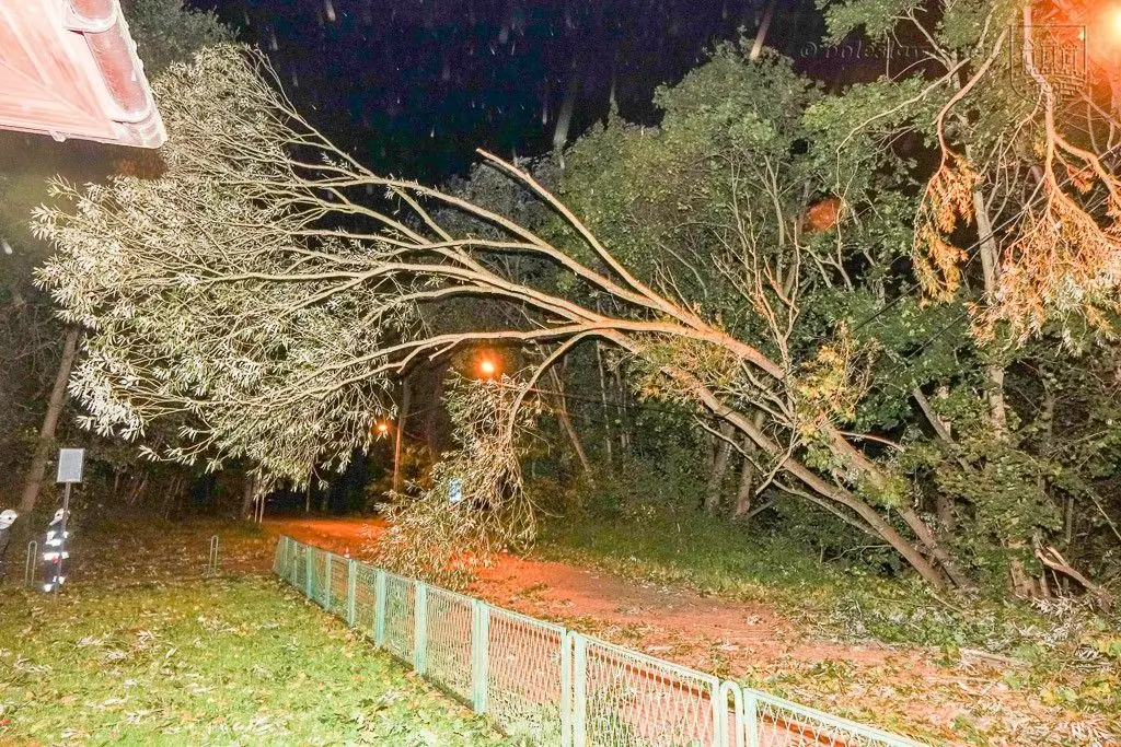 Masakryczna wichura szaleje w powiecie. Nie wychodźcie z domu