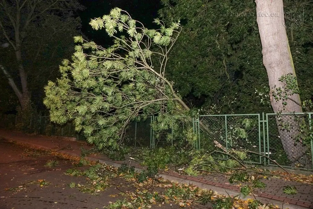 Masakryczna wichura szaleje w powiecie. Nie wychodźcie z domu