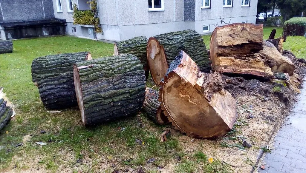 Zobacz, jakiego spustoszenia dokonała nawałnica w Bolesławcu