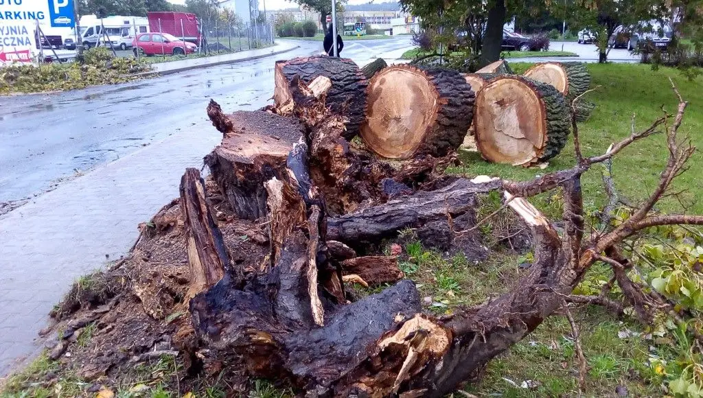 Zobacz, jakiego spustoszenia dokonała nawałnica w Bolesławcu