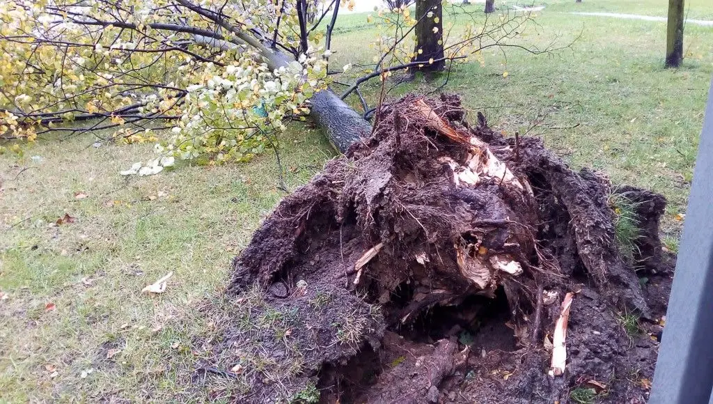 Zobacz, jakiego spustoszenia dokonała nawałnica w Bolesławcu