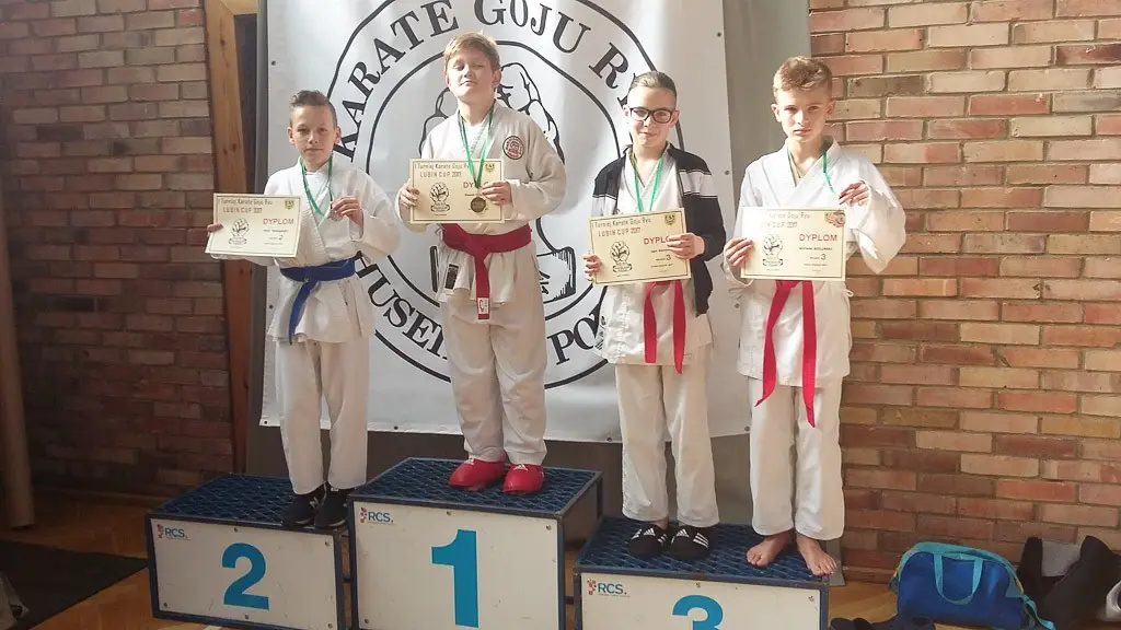 Bolesławieccy karatecy z 9 medalami Lubin Cup