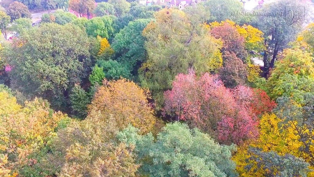 Wymień śmieci na drzewko i posadź je w swoim ogrodzie