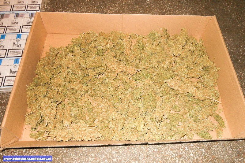 28-latek wpadł z ogromną ilością marihuany i nielegalnego tytoniu