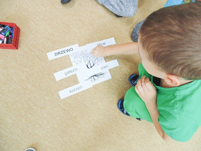 Święto Drzewa w Akademii Rozwoju