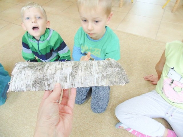 Święto Drzewa w Akademii Rozwoju