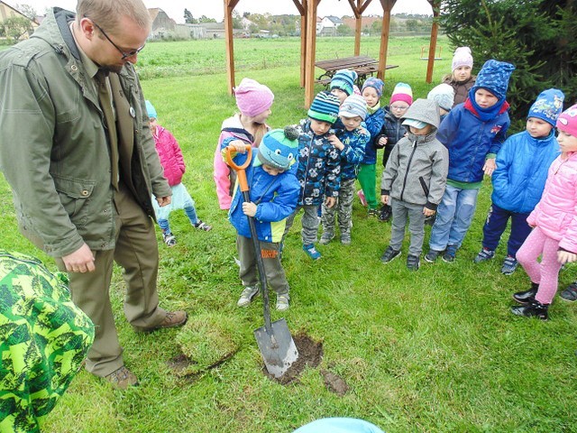 Święto Drzewa w Akademii Rozwoju