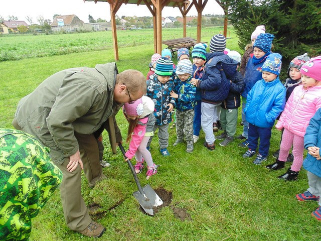 Święto Drzewa w Akademii Rozwoju