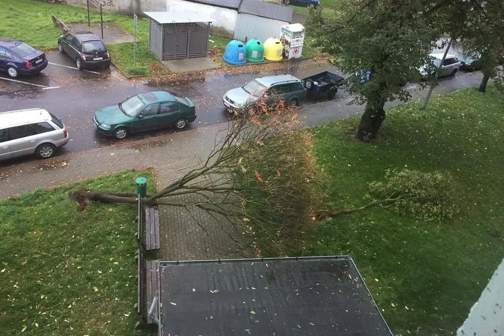 Orkan Grzegorz: zniszczenia w Bolesławcu i powiecie bolesławieckim