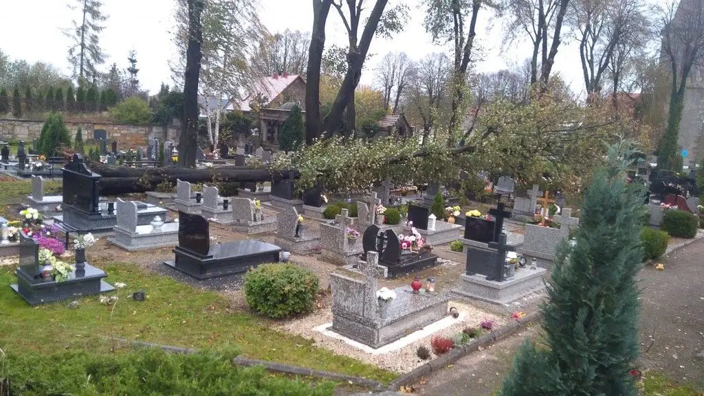 Orkan Grzegorz: zniszczenia w Bolesławcu i powiecie bolesławieckim