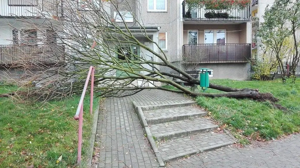 Orkan Grzegorz: zniszczenia w Bolesławcu i powiecie bolesławieckim
