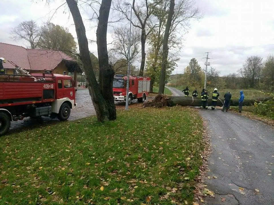 Orkan Grzegorz: zniszczenia w Bolesławcu i powiecie bolesławieckim