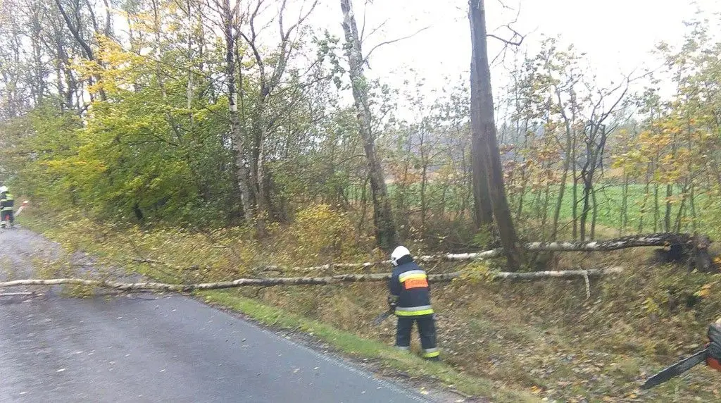 Orkan Grzegorz: zniszczenia w Bolesławcu i powiecie bolesławieckim