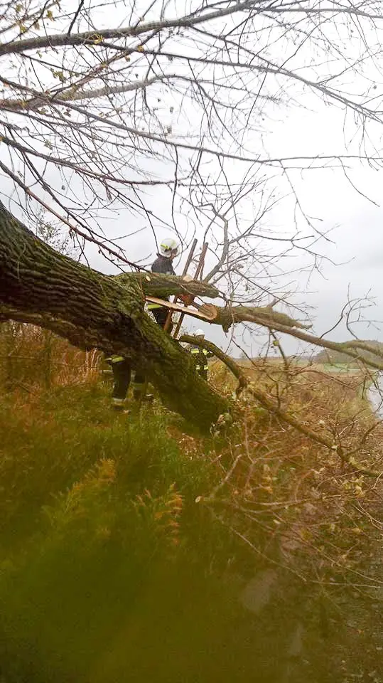 Orkan Grzegorz: zniszczenia w Bolesławcu i powiecie bolesławieckim