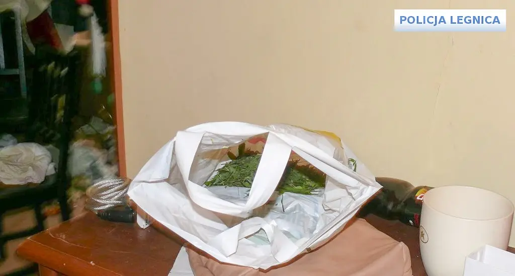 Dwaj ścigani listami gończymi przestępcy wpadli z narkotykami