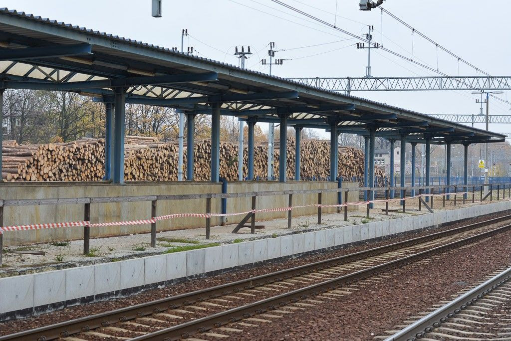 Remonty peronów na dworcu PKP w przyszłym roku?