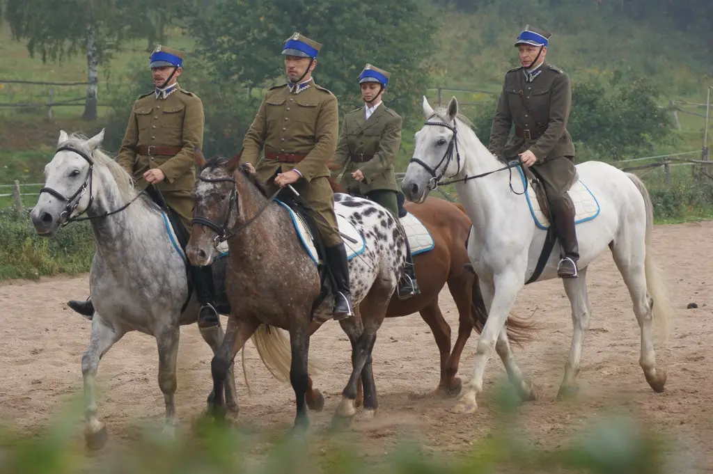 Stowarzyszenie Kawaleryjskie im. 6. Pułku Ułanów Kaniowskich