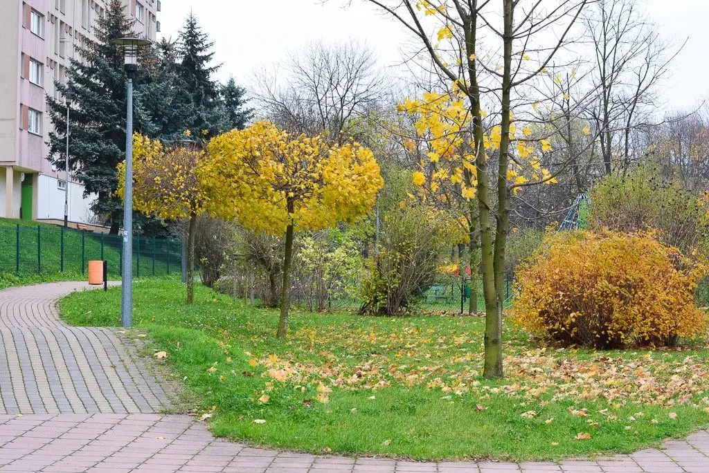 Za mało ławek i niewygodnie na placu zabaw przy Łukasiewicza?