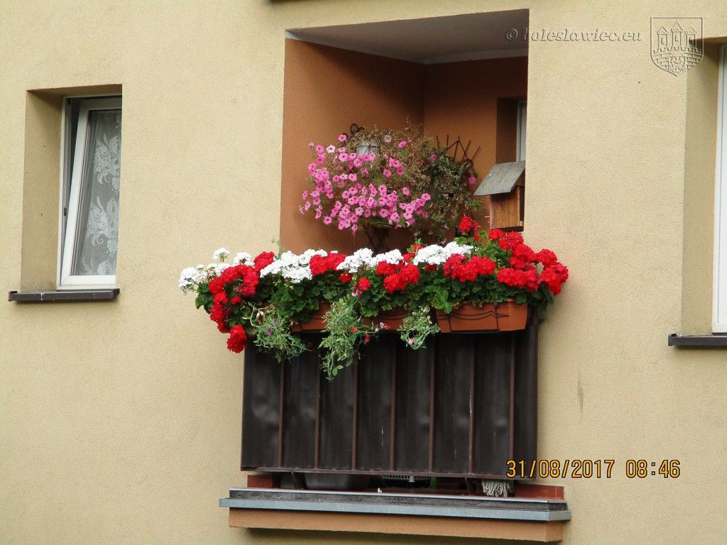 Znamy laureatów tegorocznego konkursu „Bolesławiec w kwiatach”