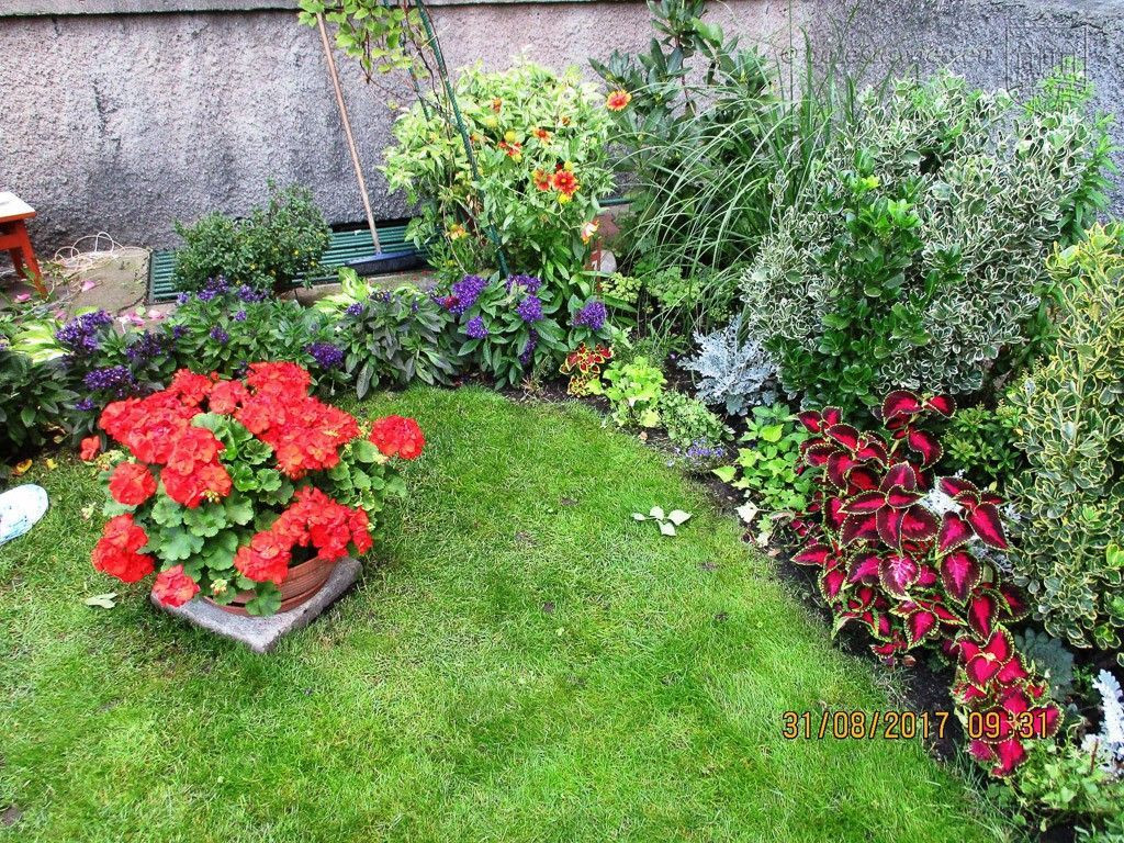 Znamy laureatów tegorocznego konkursu „Bolesławiec w kwiatach”