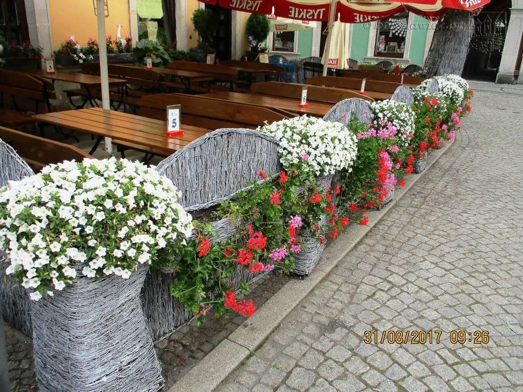 Znamy laureatów tegorocznego konkursu „Bolesławiec w kwiatach”