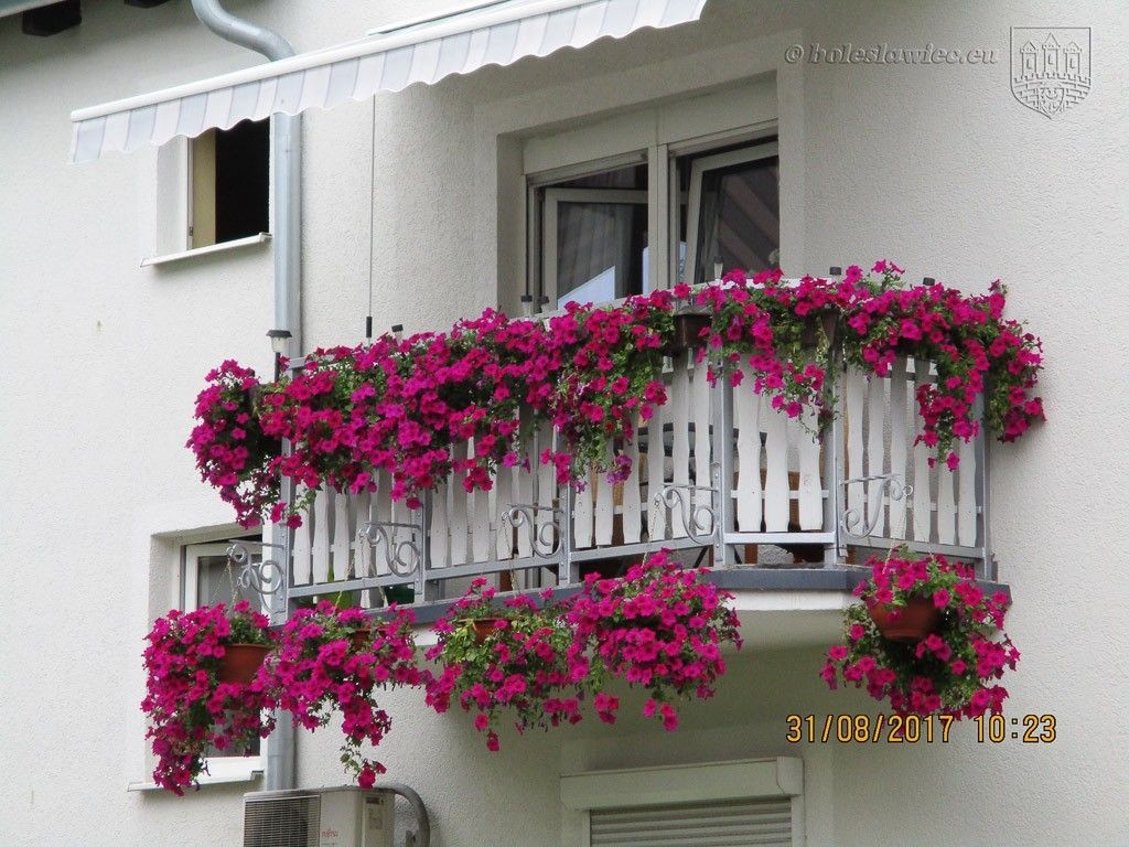 Znamy laureatów tegorocznego konkursu „Bolesławiec w kwiatach”