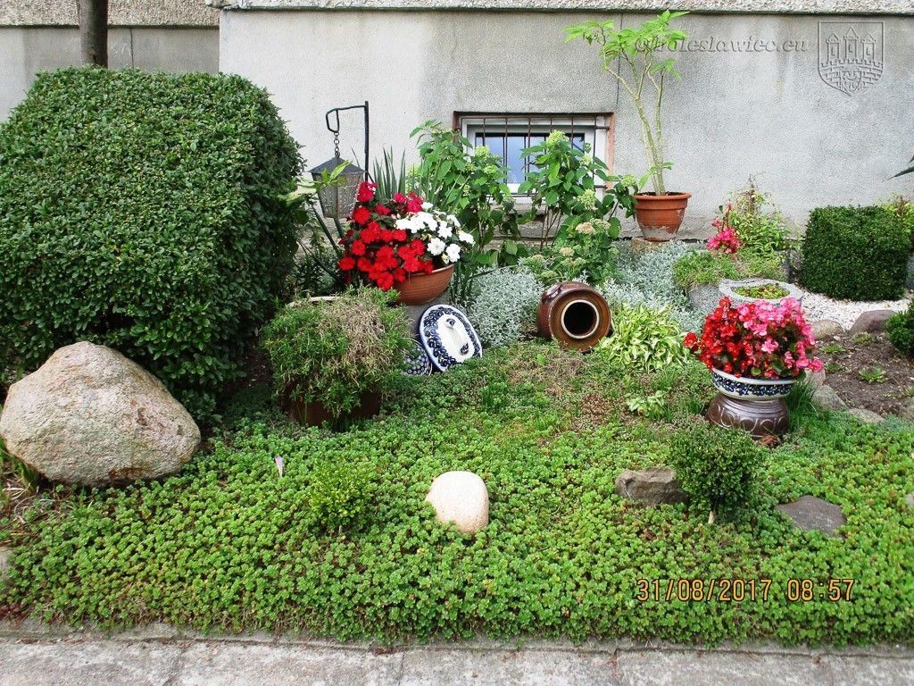 Znamy laureatów tegorocznego konkursu „Bolesławiec w kwiatach”