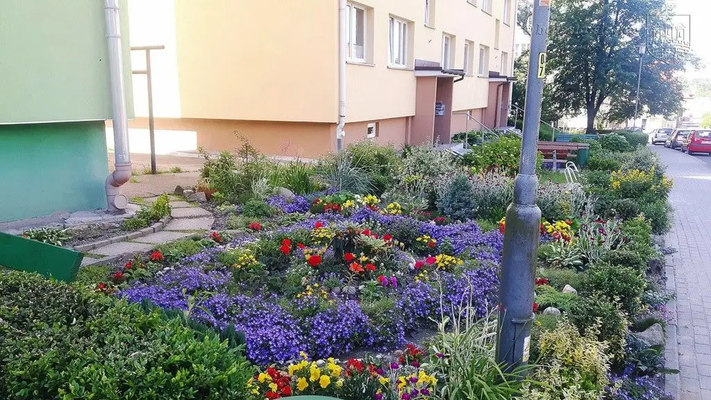 Znamy laureatów tegorocznego konkursu „Bolesławiec w kwiatach”