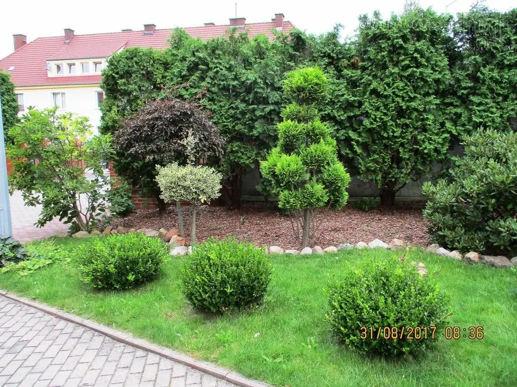 Znamy laureatów tegorocznego konkursu „Bolesławiec w kwiatach”