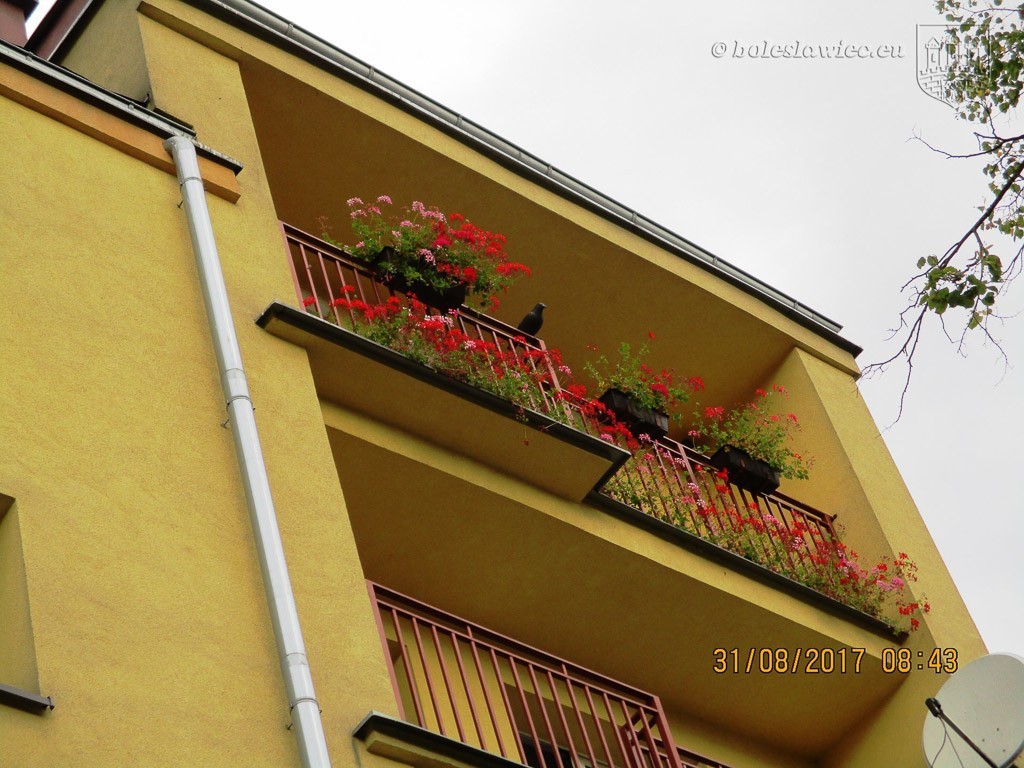 Znamy laureatów tegorocznego konkursu „Bolesławiec w kwiatach”