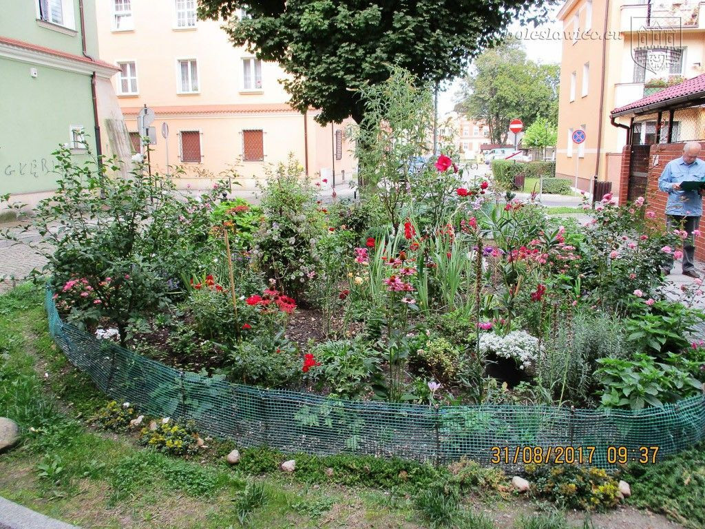 Znamy laureatów tegorocznego konkursu „Bolesławiec w kwiatach”