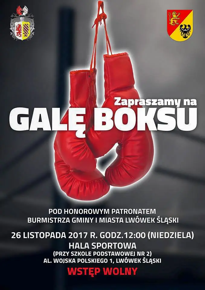 Gala Boksu i kiermasz ciast dla Huberta, który fleksem przeciął sobie tętnicę szyjną