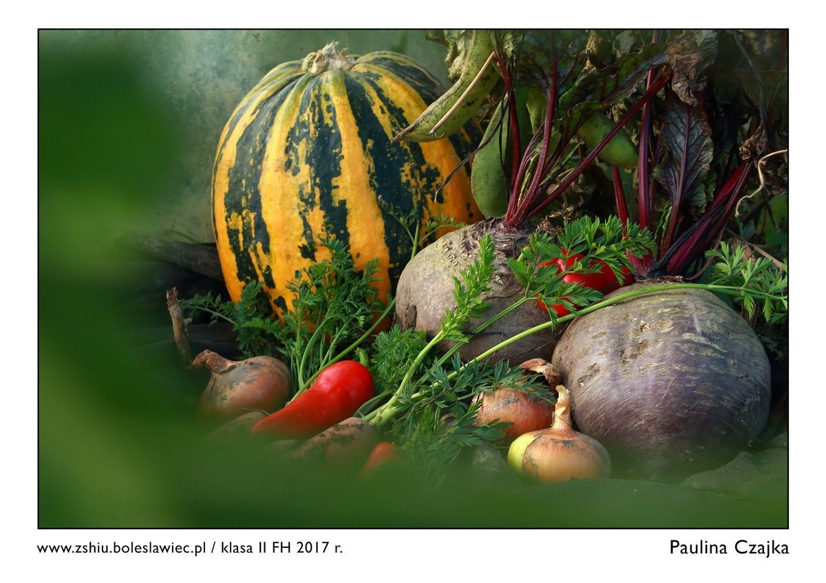 Wystawa świetnych fotografii w „Handlówce”