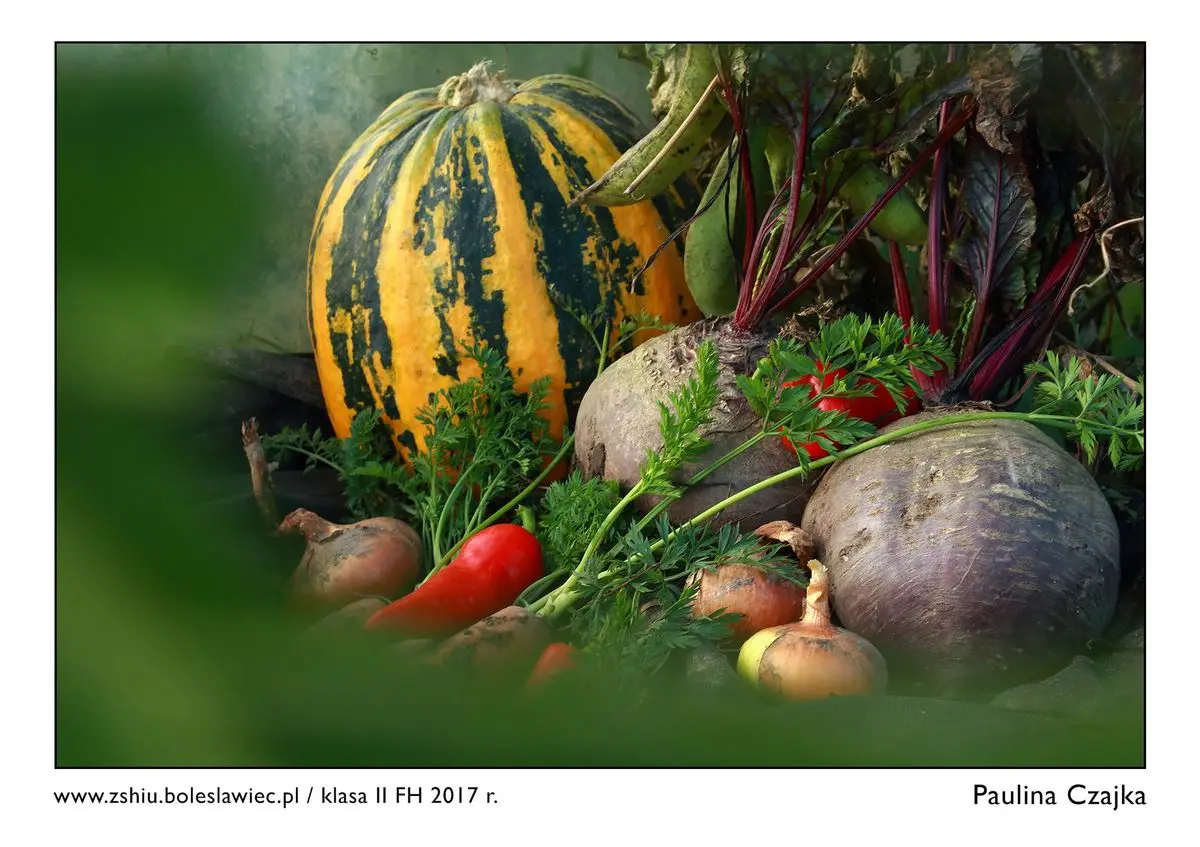 Wystawa świetnych fotografii w „Handlówce”