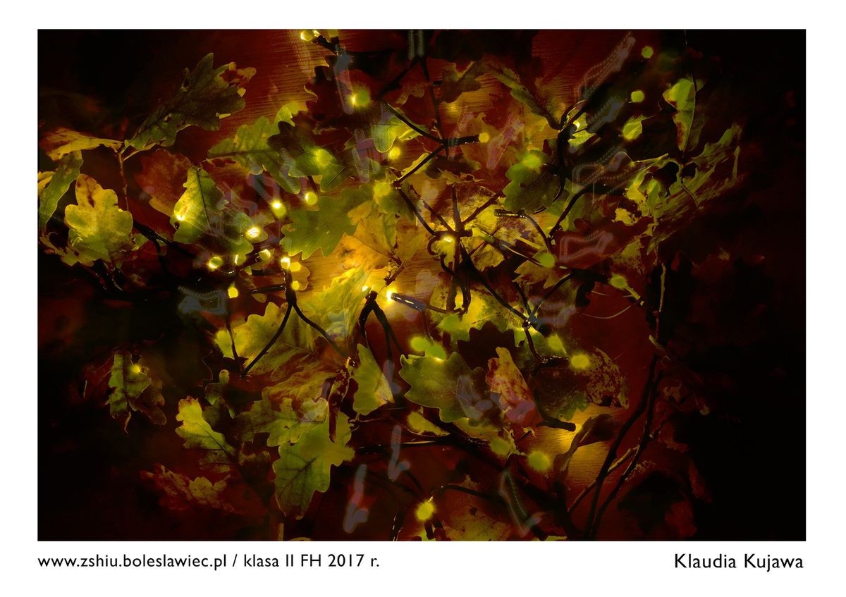 Wystawa świetnych fotografii w „Handlówce”