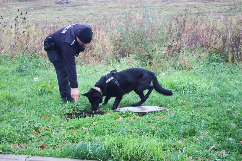Od czterech lat szukają zaginionego Wiesława Jachimowicza. Każda informacja na wagę złota!