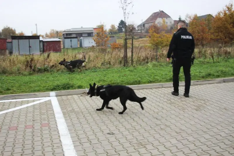 Od czterech lat szukają zaginionego Wiesława Jachimowicza. Każda informacja na wagę złota!