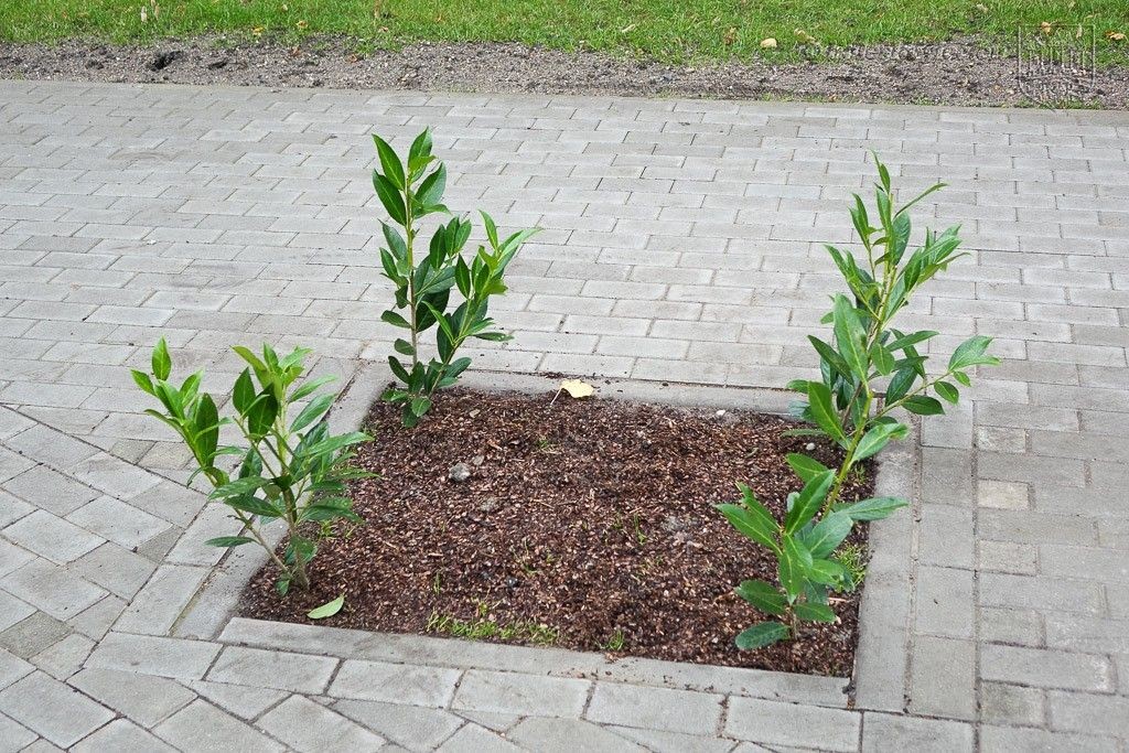 Kolejne miejskie inwestycje