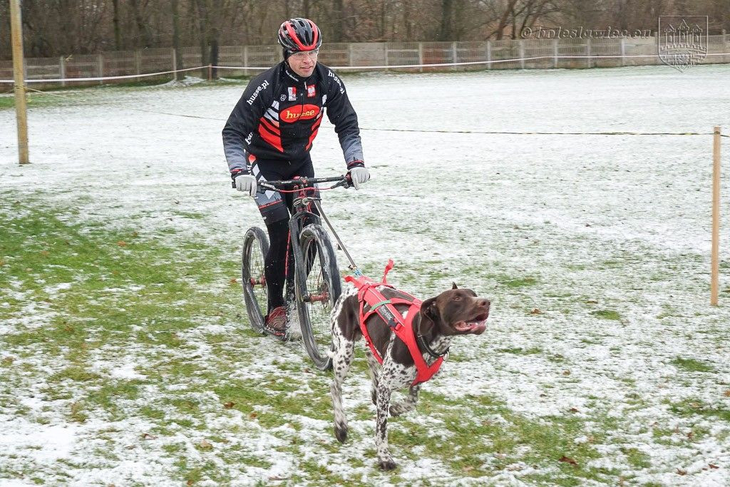 Zimowy bieg z MOSiR-em za nami