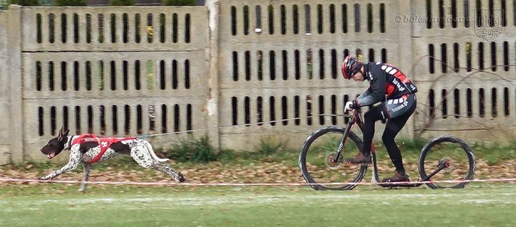 Zimowy bieg z MOSiR-em za nami