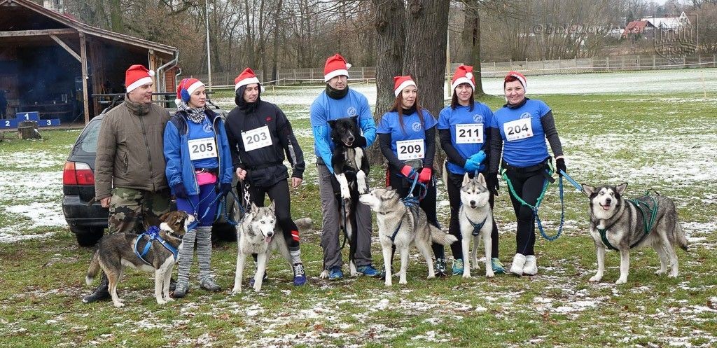 Zimowy bieg z MOSiR-em za nami