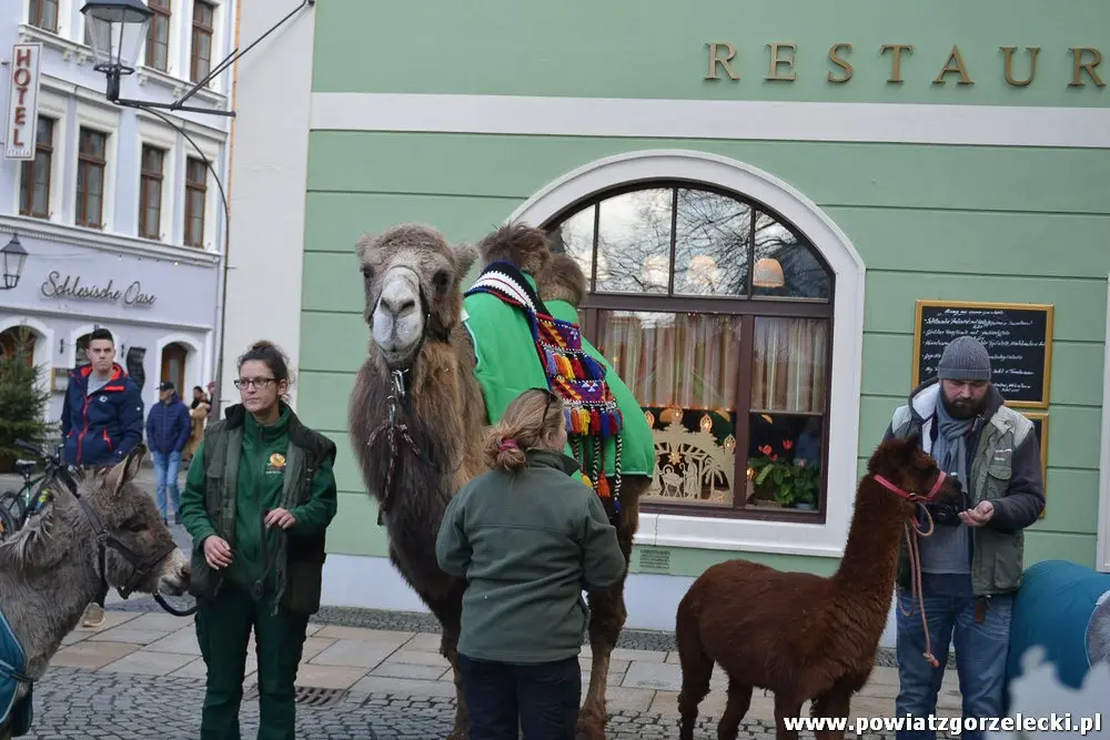 Orszak Trzech Króli przeszedł ulicami Zgorzelca i Görlitz