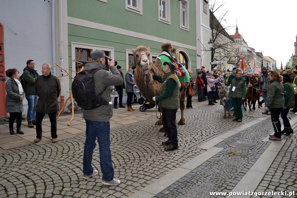 Orszak Trzech Króli przeszedł ulicami Zgorzelca i Görlitz