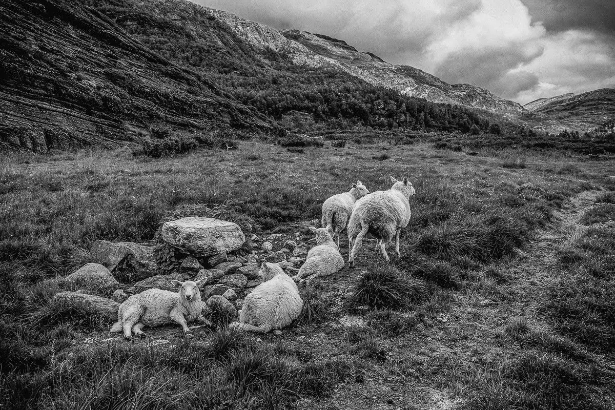 Wernisaż fotografii Grzegorza Matoryna „Migawki z Norwegii”