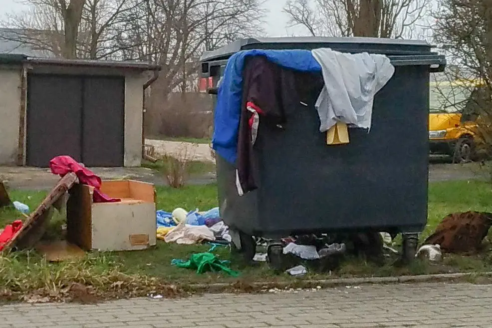 Waste Near the Dumpster Container