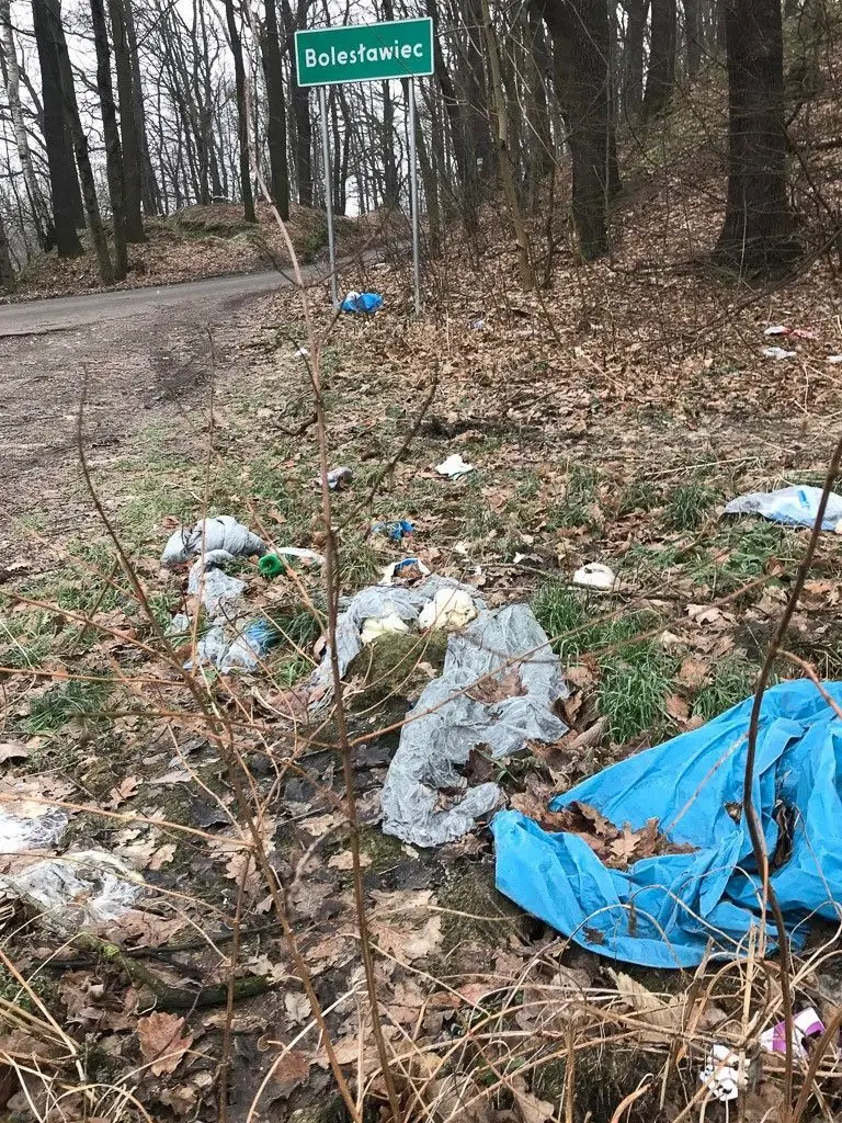 Syf przy wjeździe do Bolesławca