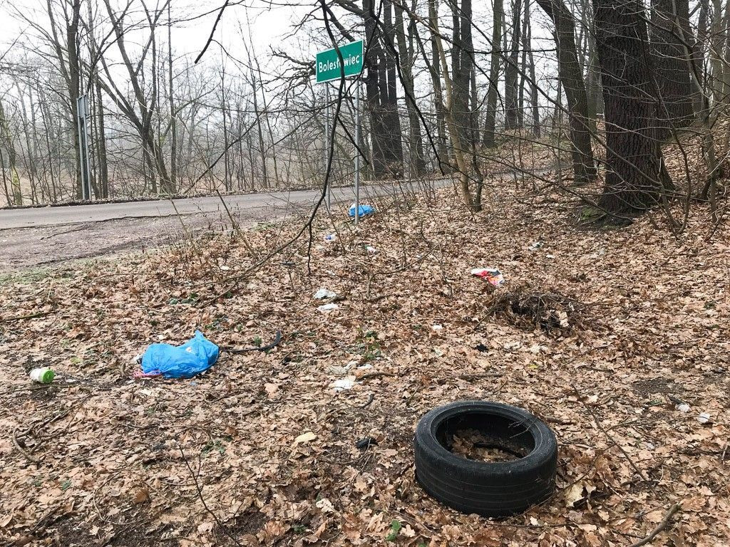 Syf przy wjeździe do Bolesławca