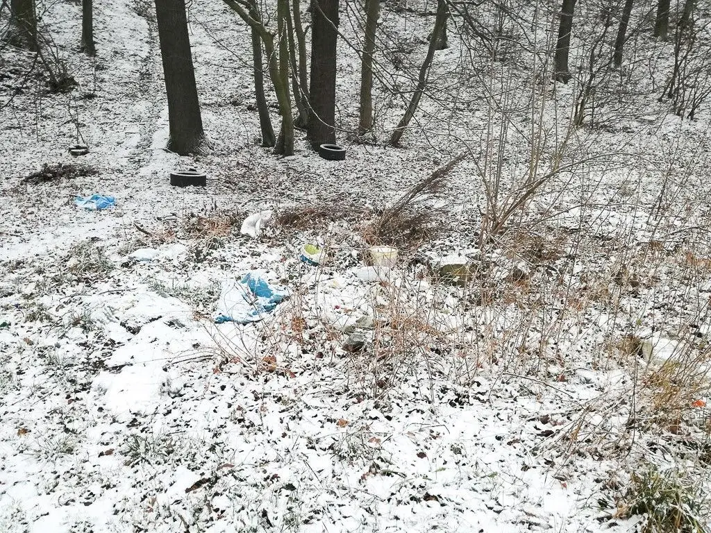 Gmina Bolesławiec o nielegalnym wysypisku przy wjeździe do Bolesławca