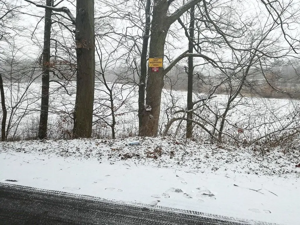 Gmina Bolesławiec o nielegalnym wysypisku przy wjeździe do Bolesławca