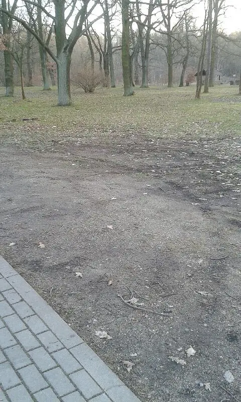 Ręce opadają! Znowu nasyfili nad Bobrem